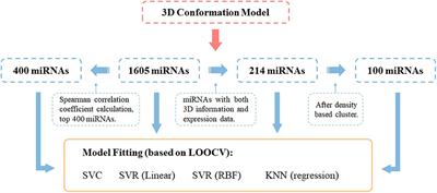 3D genome-selected microRNAs to improve Alzheimer's disease prediction